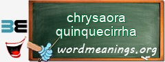 WordMeaning blackboard for chrysaora quinquecirrha